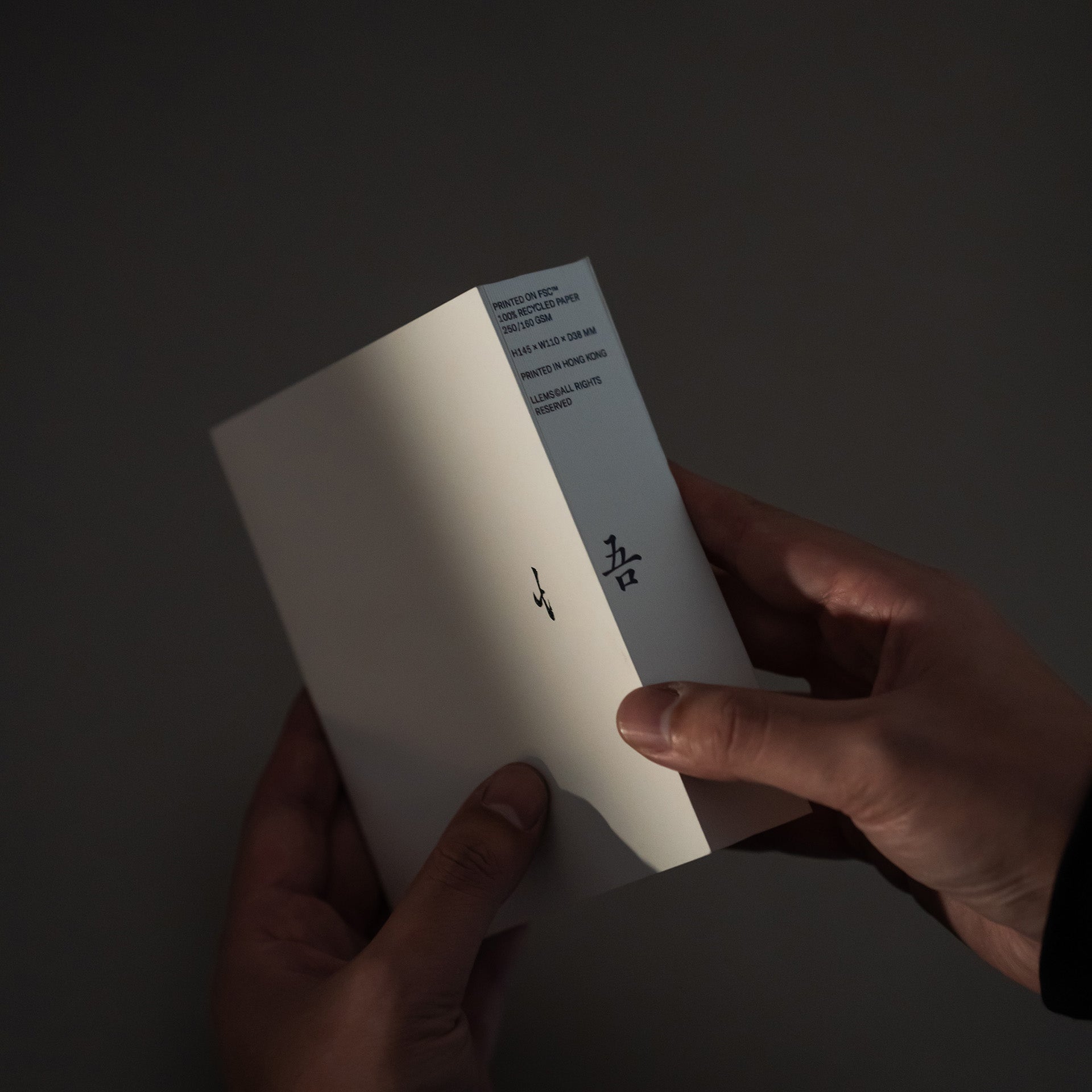 LLEMS ANNIVERSARY NOTEBOOK